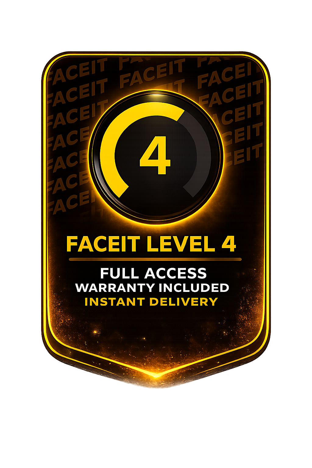 【CS2】FACEIT Level 1-10 Account