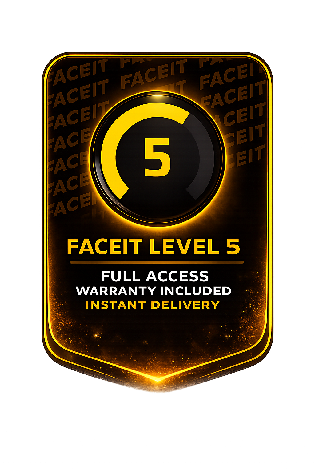 【CS2】FACEIT Level 1-10 Account