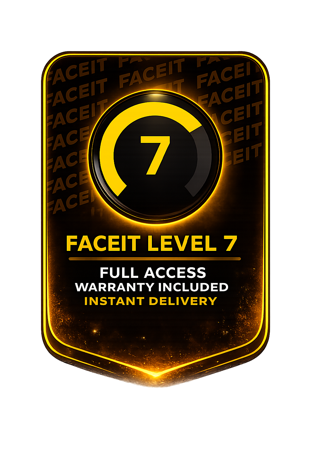 【CS2】FACEIT Level 1-10 Account