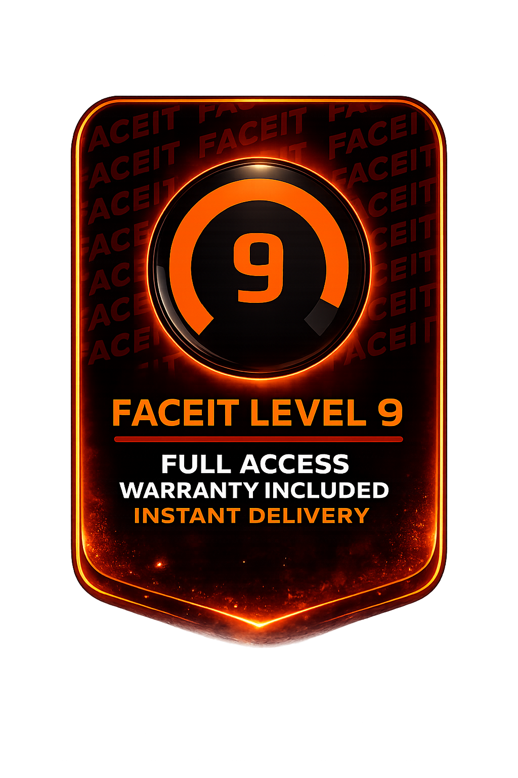 【CS2】FACEIT Level 1-10 Account