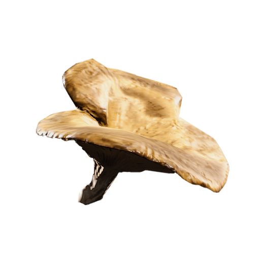 Mushroom