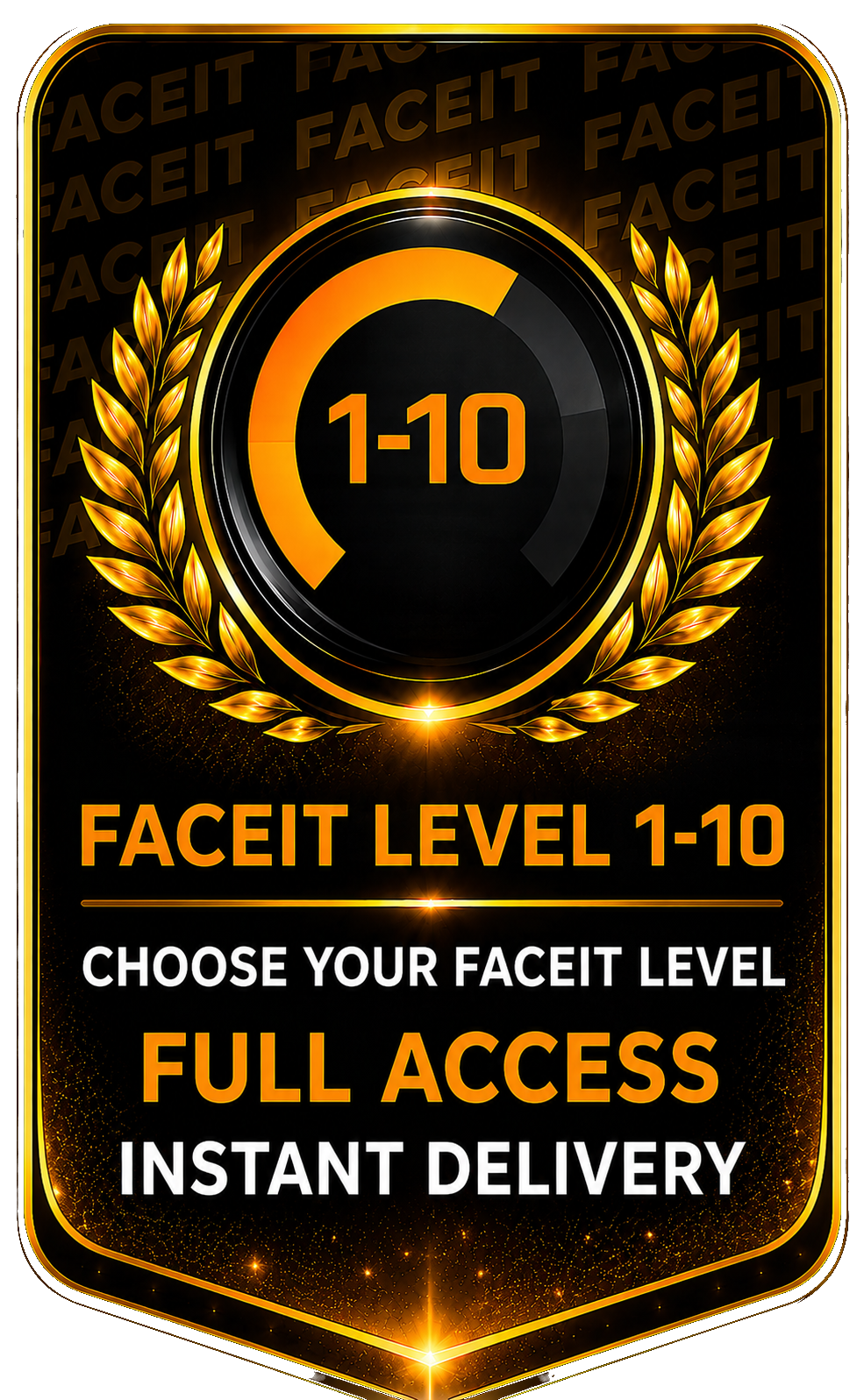 【CS2】FACEIT Level 1-10 Account